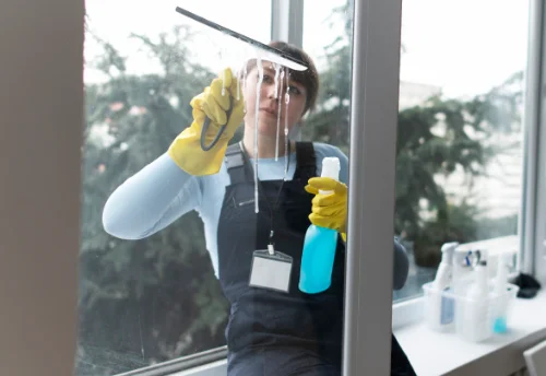 Nettoyage de vitres intérieures et extérieures à Plancherine